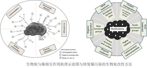環(huán)資學(xué)院生物炭修復(fù)土壤重金屬污染研究取得新進(jìn)展